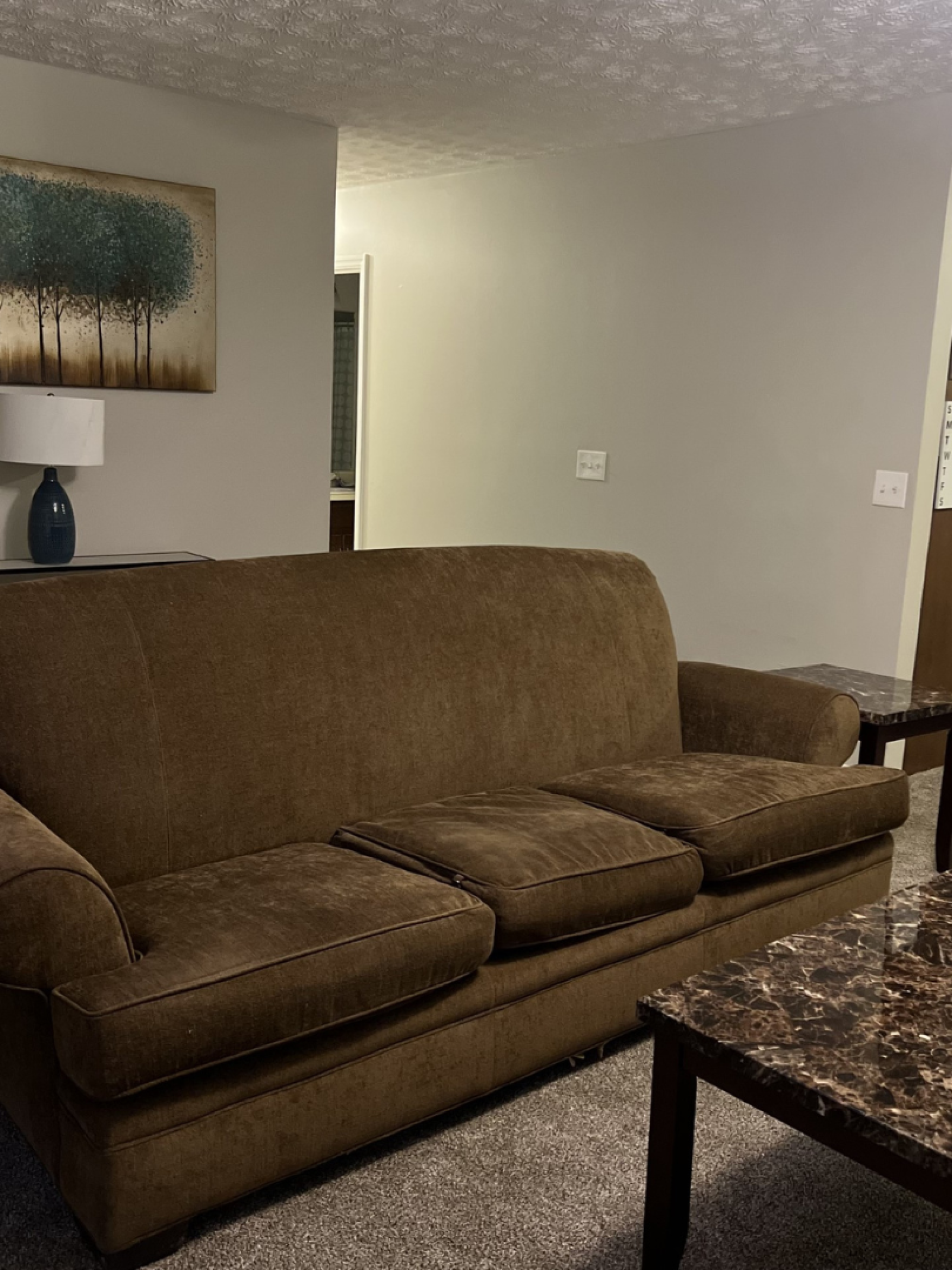 shared living space - amenities